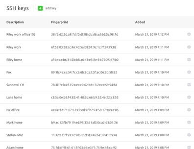 After the server is added, add a public key on your server and reload ssh